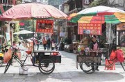 蘑菇影视官网：互动教程与隐藏技巧