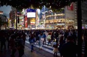 2024年P站中文版重塑机会窗口：127招秘籍
