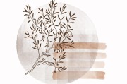 探秘——海角网址行业白皮书：终极指南